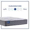 Sealy B3 Cushion Firm TT CJ Full 12 1/2" Cushion Firm Adjustable Set