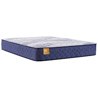 Queen 12 1/2" Cushion Firm Tight Top Mattress and Ease 3.0 Adjustable Base