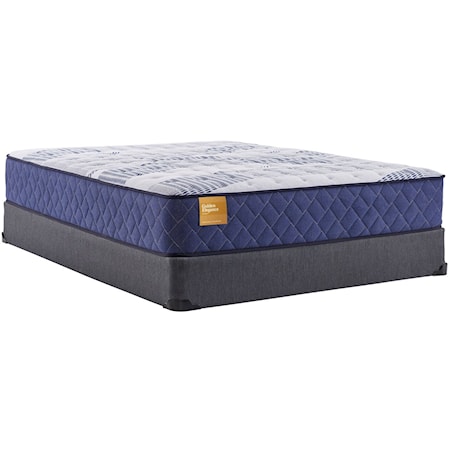Twin 12 1/2" Plush Tight Top Mattress and Low Profile Base 5" Height