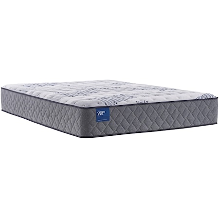 Queen 12 1/2" Plush Tight Top Mattress and Ease 3.0 Adjustable Base