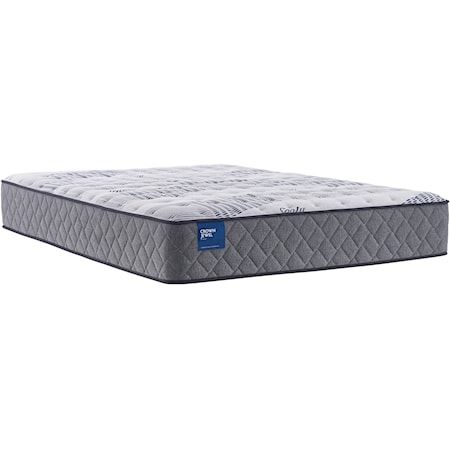 Queen 12" Plush Mattress