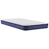 Sealy Blakeslee B0 Queen 7" Foam Mattress