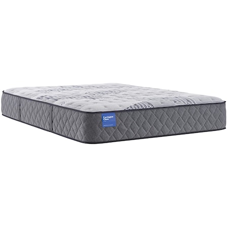 Twin Sealy 12.5" Plush Mattress