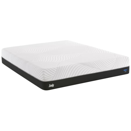 Queen 10" Gel Memory Foam Adj Set