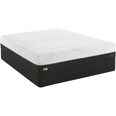 Cal King Plush Gel Memory Foam Mattress Set