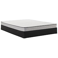 Twin Extra Long 5 1/2" Innerspring Tight Top Mattress and Standard Base 9" Height