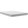 Sealy Spruce Queen 5 1/2" Mattress