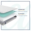 Sealy ESS1 Essentials Innerspring TT Full 5 1/2" Mattress Set