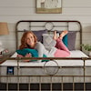 Sealy Risbury Firm TT Risbury Twin Set w/ Low Profile Box Spring