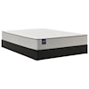 Sealy ESS6 Essentials Innerspring Soft TT King 10 1/2" Plush Innerspring Mattress Set