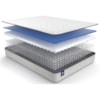 Sealy Tiverton Medium TT Tiverton Queen Mattress