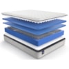 Sealy Midtown Medium Queen 12" Medium FXET Mattress