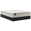 Sealy Wintergreen King 12" Soft FXET Mattress Set