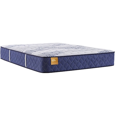 King 12 1/2" Cushion Firm Encased Coil Mattress and Ergomotion Pro Tract Extend Power Base