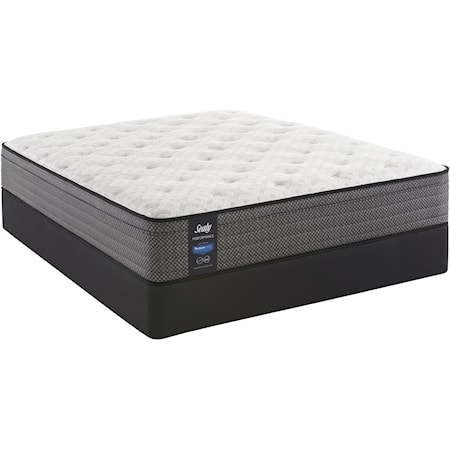 Twin Encased Coil Mattress Lo-Pro Set