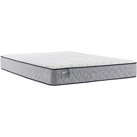 Queen 10 1/2" Cushion Firm Mattress