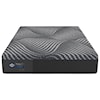 Sealy Albany Albany Queen Mattress
