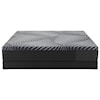 Sealy Sealy Hybrid King Albany Hybrid Mattress+LoPro Base