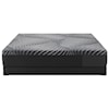 Sealy Sealy Hybrid TwinXL Brenham Firm Mattress+LowPro Base