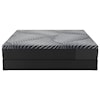 Sealy Sealy Hybrid Queen Brenham Soft Mattress+Standard Base