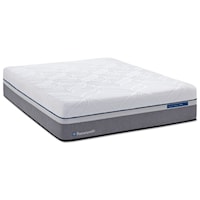 Queen 13 1/2" Plush Hybrid Mattress