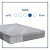 Sealy Medina Firm Memory Foam Twin 11" Firm Gel Memory Foam Adj Set