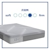 Sealy Medina Firm Memory Foam Full 11" Firm Gel Memory Foam Set