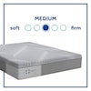 Sealy PPF3 Posturpedic Foam Medium Twin XL 12" Medium Gel Memory Foam Adj Set