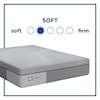 Sealy PPF5 Posturpedic Foam Soft Twin 13" Soft Gel Memory Foam Adj Set