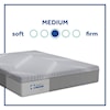 Sealy Oriole Medium  Full 12" Medium Hybrid Mattress Set