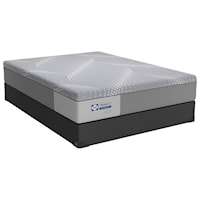 Queen 12" Medium Hybrid Mattress and Low Profile Base 5" Height