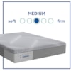 Sealy Paterson Hybrid Medium Queen 12" Medium Hybrid Mattress