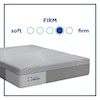 Sealy PPH5 Posturpedic Hybrid Firm Twin 13" Firm Hybrid Low Profile Set