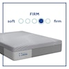 Sealy PPH5 Posturpedic Hybrid Firm Queen 13" Firm Hybrid Low Profile Set