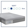 Sealy Chablis Twin XL 13" Soft Hybrid Mattress Set