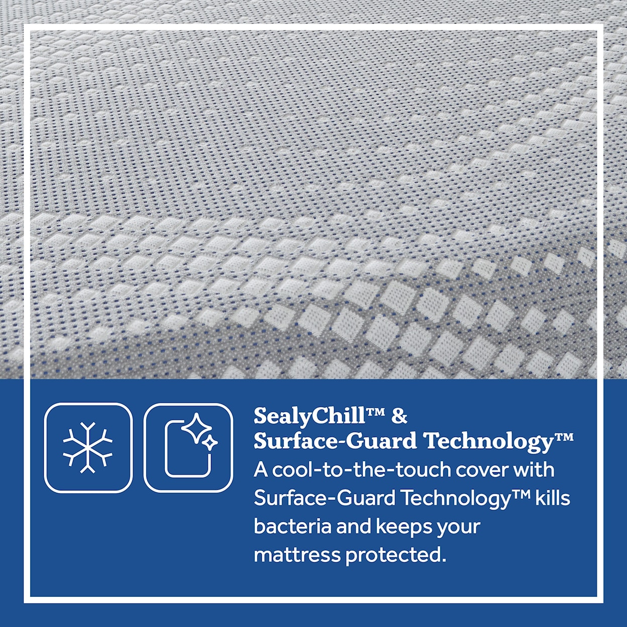 Sealy Sealy Hybrid Full Lacey Soft+Standard Base