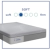 Sealy Sealy Hybrid Queen Lacey Soft Mattress