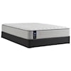 Sealy Beauclair Twin 12" Firm TT Encased Coil Mattress Set