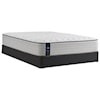 Sealy PPS3 Posturpedic Innerspring Med FXET Queen 13" Medium Faux Euro Top LP Set