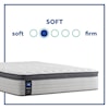 Sealy GARNER II PLUSH PILLOWTOP Full 14" Soft Euro Pillow Top Mattress Set