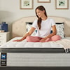 Sealy PPS3 Posturpedic Innerspring Soft EPT Queen 14" Soft Euro Pillow Top Mattress Set