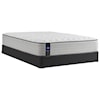 Sealy PPS3 Posturpedic Innerspring Soft FXET Queen 13" Soft Faux Euro Top Mattress Set