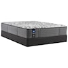 Sealy Exuberent Plush Queen 13" Soft TT Mattress Set