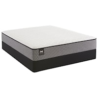 Queen Plush Innerspring Mattress and 5" Low Profile StableSupport™ Foundation