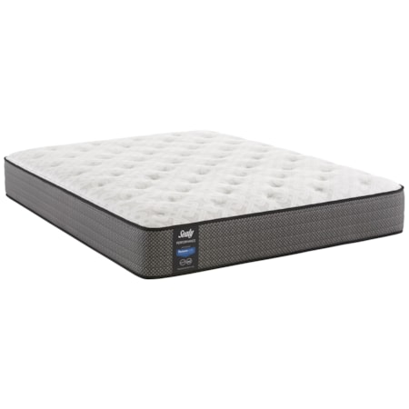 Queen 11 1/2" Cushion Firm Mattress