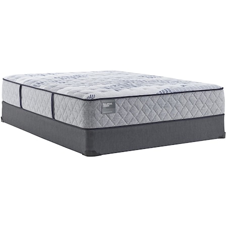 Queen 12 1/2" Plush Mattress Set