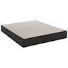 Sealy S5 Firm TT King 14 1/2" Firm Mattress Set