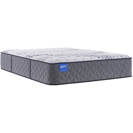 Queen Sealy 14.5" Plush Mattress