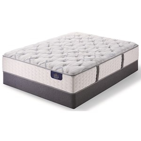 Queen Luxury Firm Mattress Set