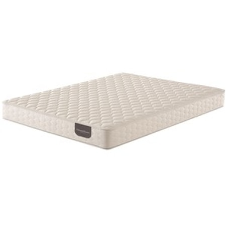 Twin Foam Mattress